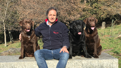 mejores-residencias-caninas-perros-zona-ciudad-vigo