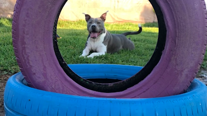 mejores-residencias-caninas-perros-zona-ciudad-villablanca