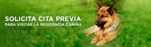 mejores-residencias-caninas-perros-zona-ciudad-villalbilla