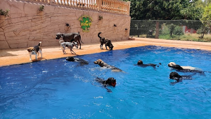 mejores-residencias-caninas-perros-zona-ciudad-virgen-de-monserrat