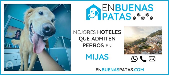 mijas-mejores-hoteles-admiten-perros-zona