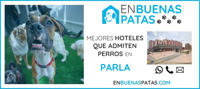 parla-mejores-hoteles-admiten-perros-zona