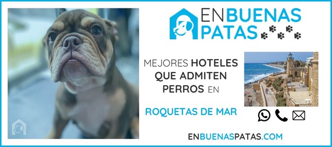 roquetas-de-mar-mejores-hoteles-admiten-perros-zona