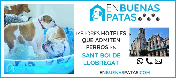 sant-boi-de-llobregat-mejores-hoteles-admiten-perros-zona