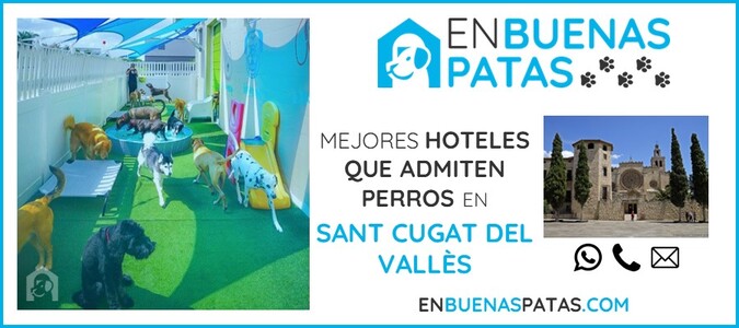 sant-cugat-de-valles-mejores-hoteles-admiten-perros-zona