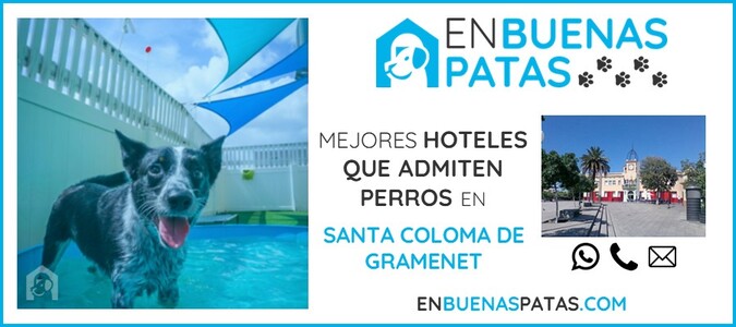 santa-coloma-de-gramenet-mejores-hoteles-admiten-perros-zona
