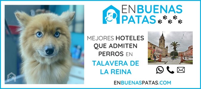talavera-de-la-reina-mejores-hoteles-admiten-perros-zona