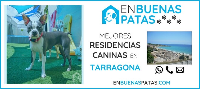 tarragona-mejores-residencias-caninas-perros-zona