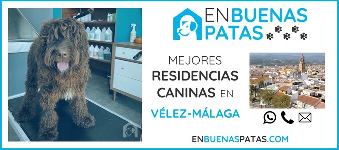velez-malaga-mejores-residencias-caninas-perros-zona
