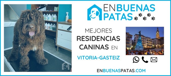 vitoria-gasteiz-mejores-residencias-caninas-perros-zona
